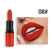 Load image into Gallery viewer, Brown Matte Lip stick
